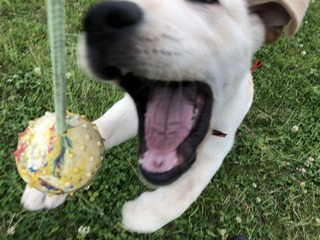 871C83DF-C0A6-484F-94C2-552EEBE62D5F.jpeg