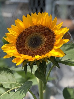 9DF941C7-E21A-496B-B369-C3380734F798.jpeg